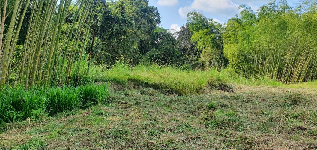 Lote en venta en Condina, Pereira, 10000 m² · foto 10 de 24