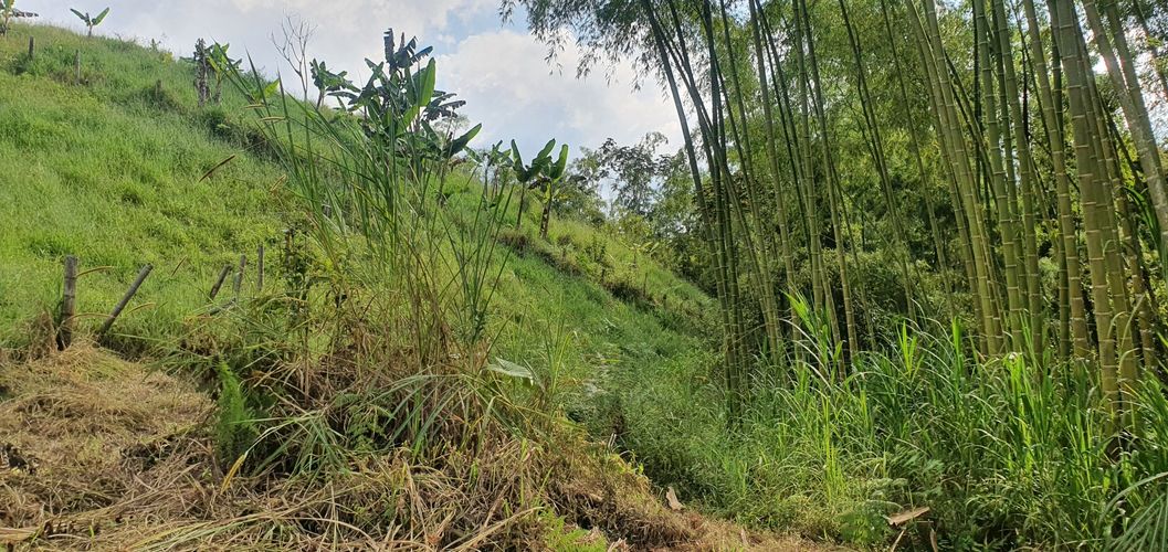 Lote en venta en Condina, Pereira, 10000 m² · foto 12 de 24