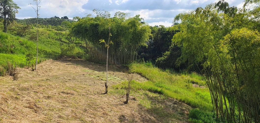 Lote en venta en Condina, Pereira, 10000 m² · foto 19 de 24