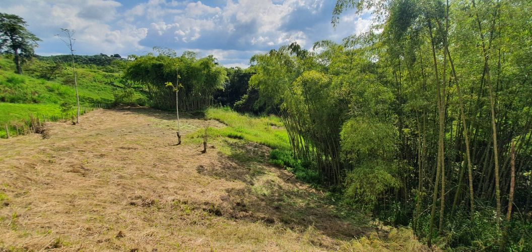 Lote en venta en Condina, Pereira, 10000 m² · foto 24 de 24