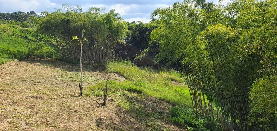 Lote en venta en Condina, Pereira, 10000 m² · foto 23 de 24