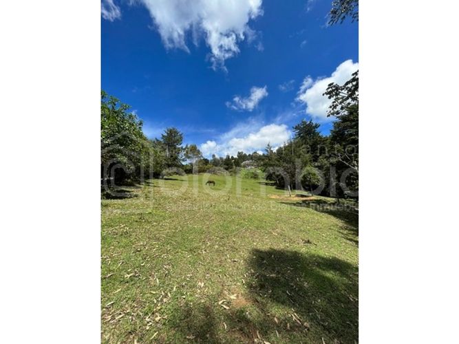 Lote en venta en Playa Rica-Rancheria, Rionegro, 5350 m² · foto 2 de 7