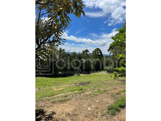 Lote en venta en Playa Rica-Rancheria, Rionegro, 5350 m² · foto 5 de 7
