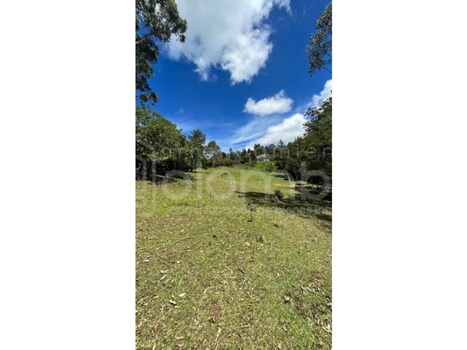 Lote en venta en Playa Rica-Rancheria, Rionegro, 5350 m² · foto 6 de 7
