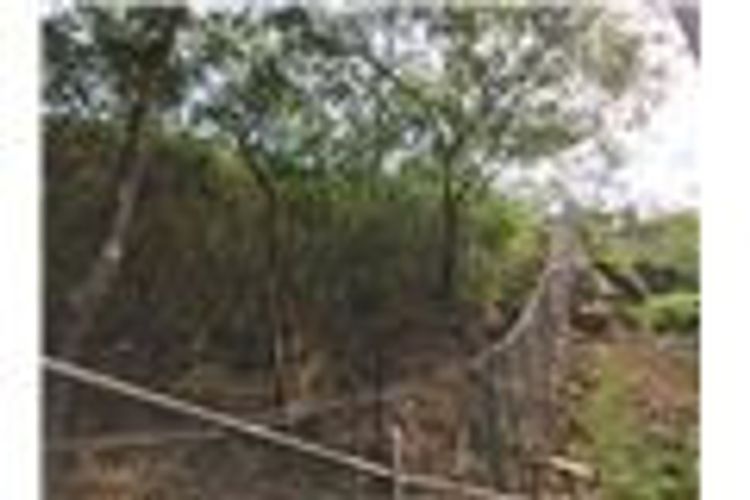 Lote en venta en Normandia, Cali, 4775 m² · foto 4 de 20