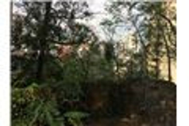 Lote en venta en Normandia, Cali, 4775 m² · foto 10 de 20