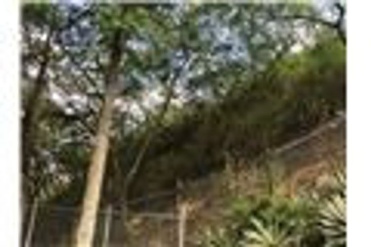 Lote en venta en Normandia, Cali, 4775 m² · foto 12 de 20