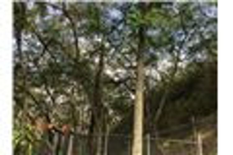 Lote en venta en Normandia, Cali, 4775 m² · foto 14 de 20