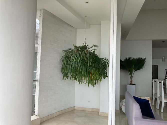 Apartamento de 4 alcobas en venta en Cristales, Cali, 378 m² · foto 18 de 24