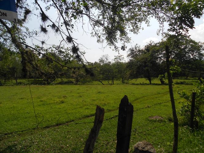 Lote en venta en Pance, Cali, 15600 m² · foto 3 de 15