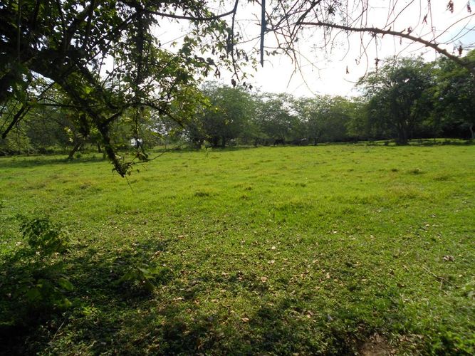 Lote en venta en Pance, Cali, 15600 m² · foto 4 de 15
