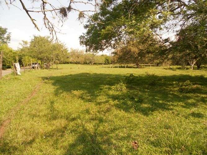 Lote en venta en Pance, Cali, 15600 m² · foto 5 de 15