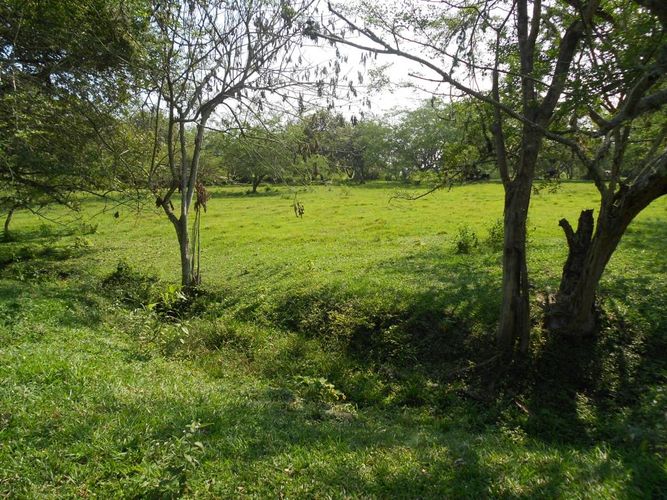 Lote en venta en Pance, Cali, 15600 m² · foto 6 de 15