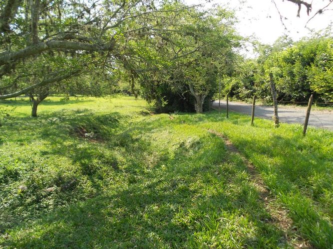 Lote en venta en Pance, Cali, 15600 m² · foto 7 de 15