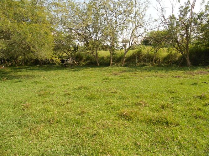 Lote en venta en Pance, Cali, 15600 m² · foto 8 de 15