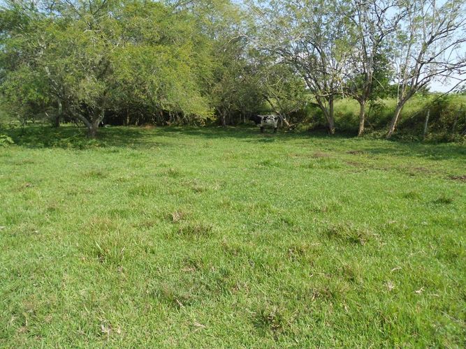 Lote en venta en Pance, Cali, 15600 m² · foto 9 de 15