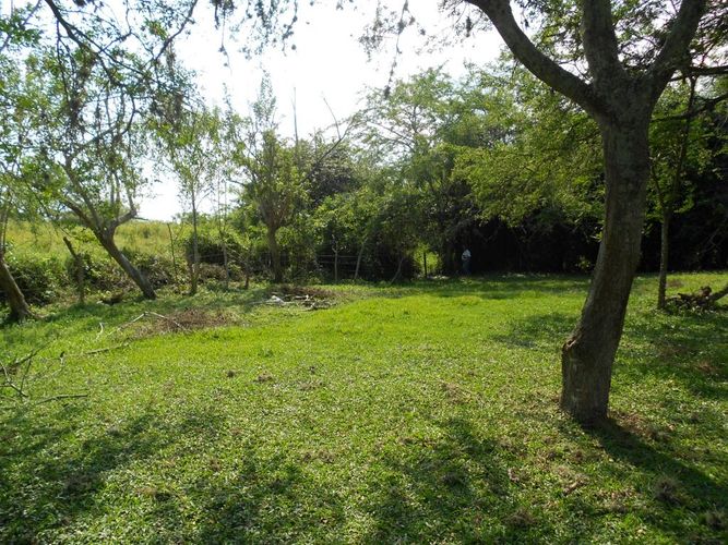 Lote en venta en Pance, Cali, 15600 m² · foto 11 de 15