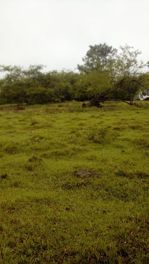 Lote en venta en Pance, Cali, 15600 m² · foto 13 de 15