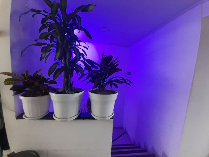 Casa en venta en Cinco De Noviembre, Bogotá · foto 9 de 14