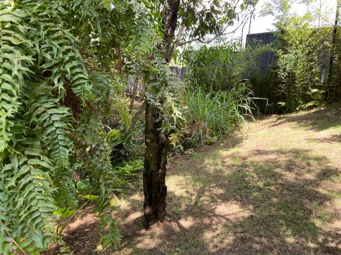 Casa de 4 alcobas en venta en Pance Alto, Cali, 600 m² · foto 22 de 24