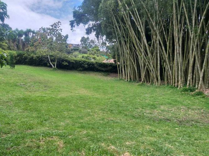 Lote en venta en El Rosal, Rionegro, 4000 m² · foto 5 de 9