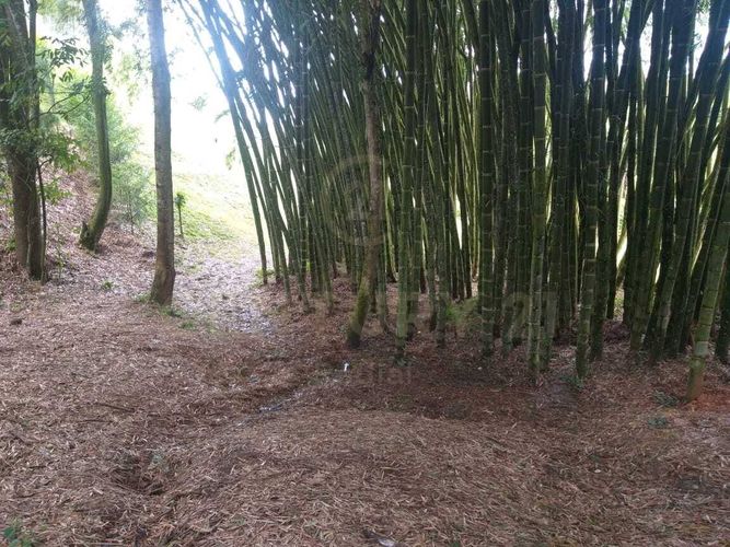 Lote en venta en El Rosal, Rionegro, 4000 m² · foto 8 de 9