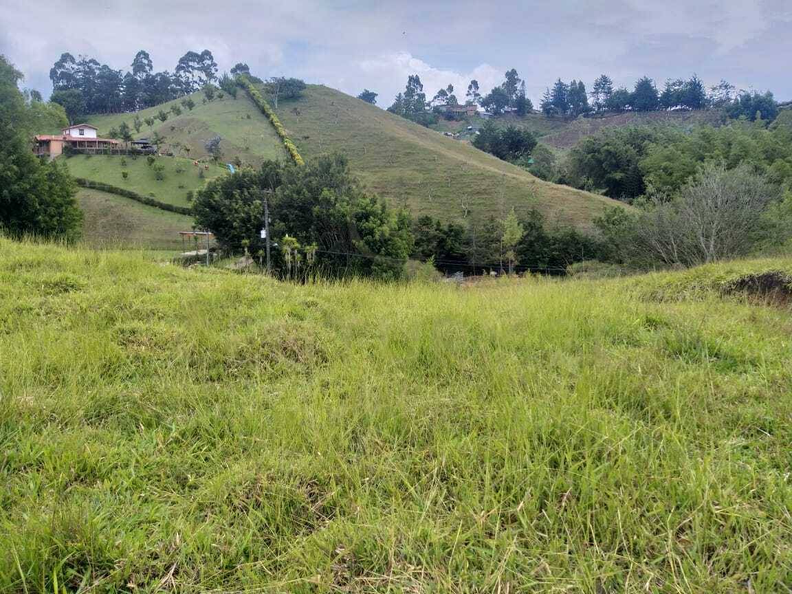 Land in El rosal for Sale