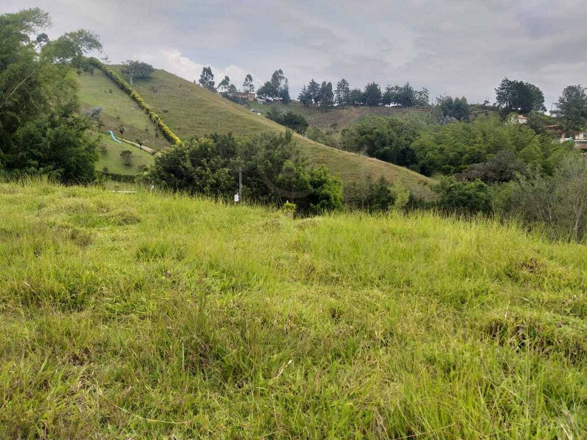 Land in El rosal for Sale - 2