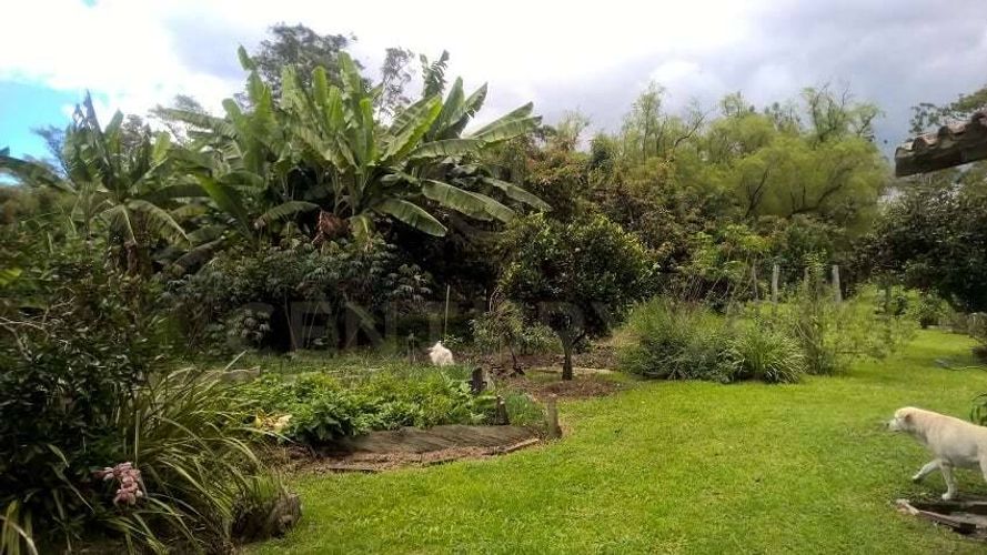 Finca en venta en Rionegro, 430 m² · foto 5 de 8