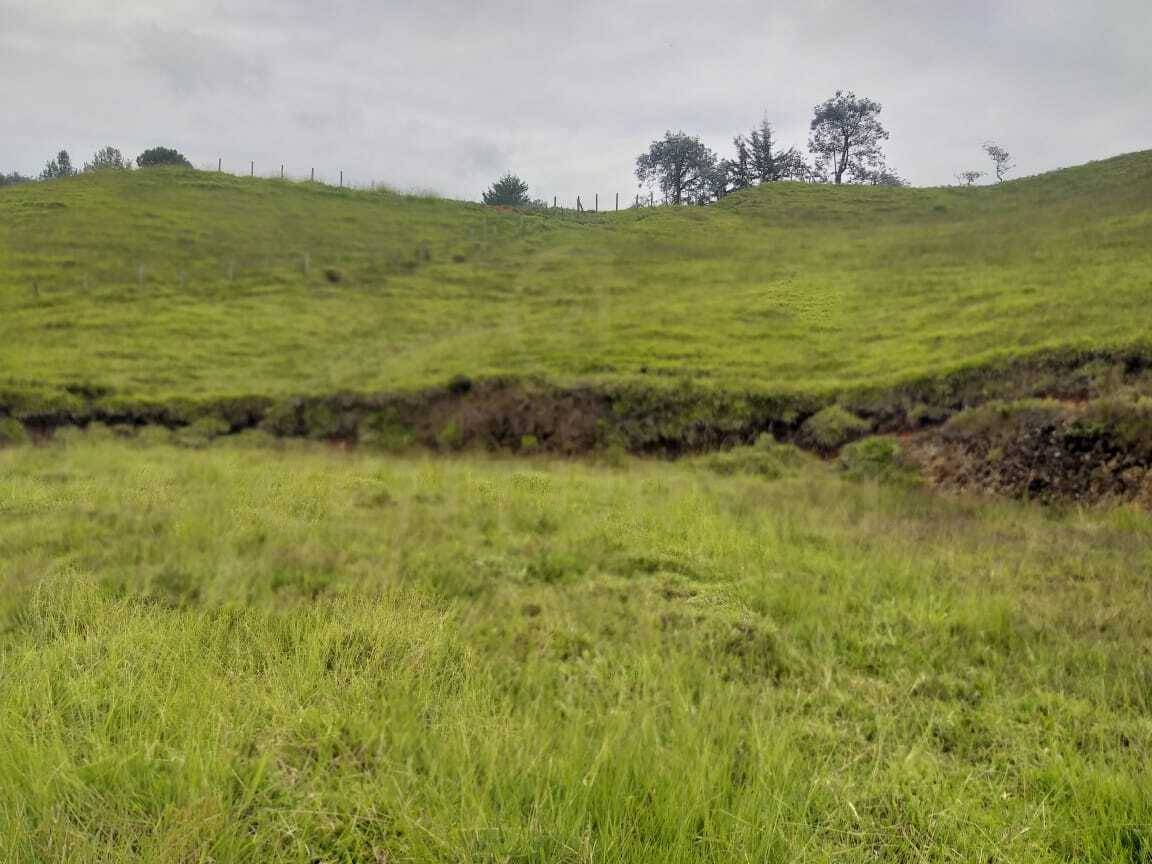 Land in El rosal for Sale - 4