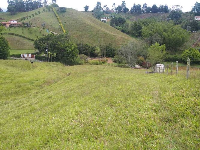 Lote en venta en El Rosal, Rionegro, 7885 m² · foto 5 de 10