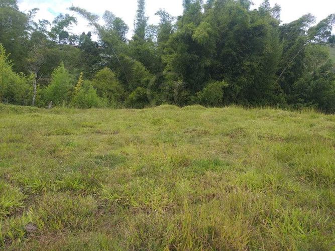 Lote en venta en El Rosal, Rionegro, 7885 m² · foto 9 de 10