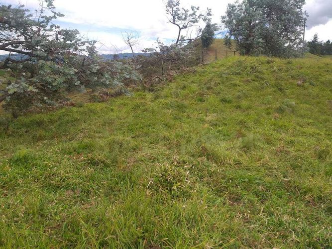 Lote en venta en El Rosal, Rionegro, 7885 m² · foto 10 de 10