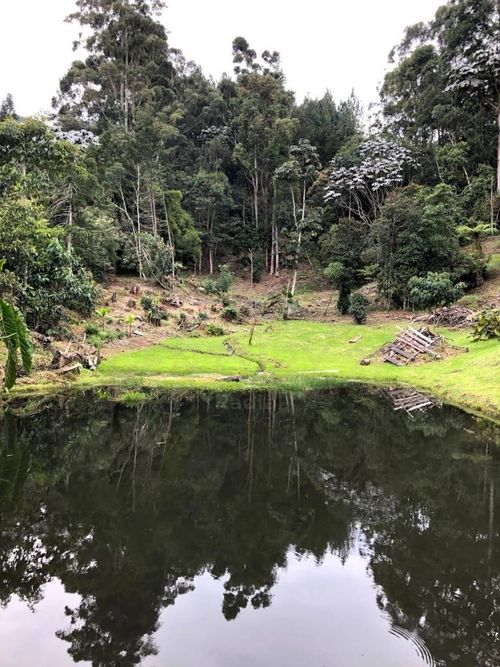 Finca en venta en Guamito, La Ceja, 160 m² · foto 11 de 20