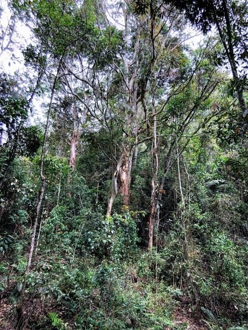 Finca en venta en Guamito, La Ceja, 160 m² · foto 12 de 20