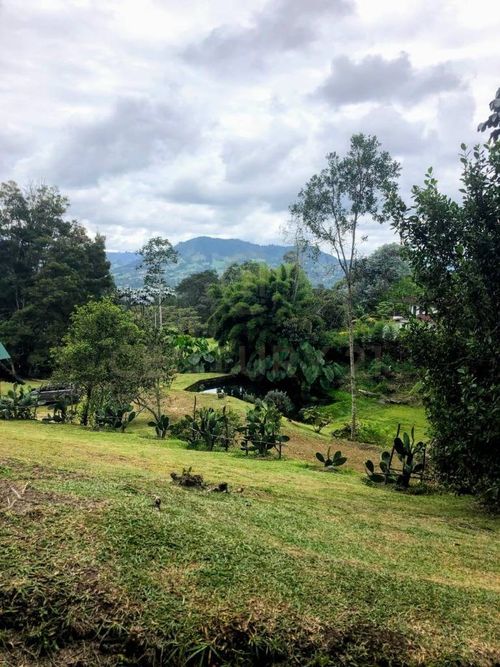 Finca en venta en Guamito, La Ceja, 160 m² · foto 13 de 20