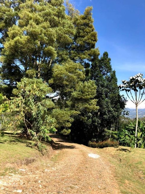 Finca en venta en Guamito, La Ceja, 160 m² · foto 14 de 20