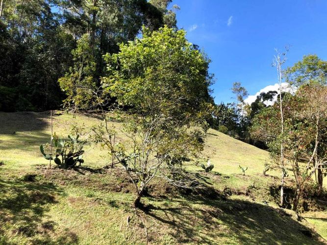 Finca en venta en Guamito, La Ceja, 160 m² · foto 17 de 20