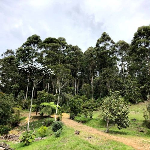 Finca en venta en Guamito, La Ceja, 160 m² · foto 18 de 20
