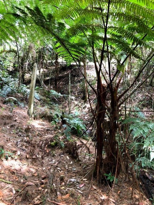 Finca en venta en Guamito, La Ceja, 160 m² · foto 19 de 20
