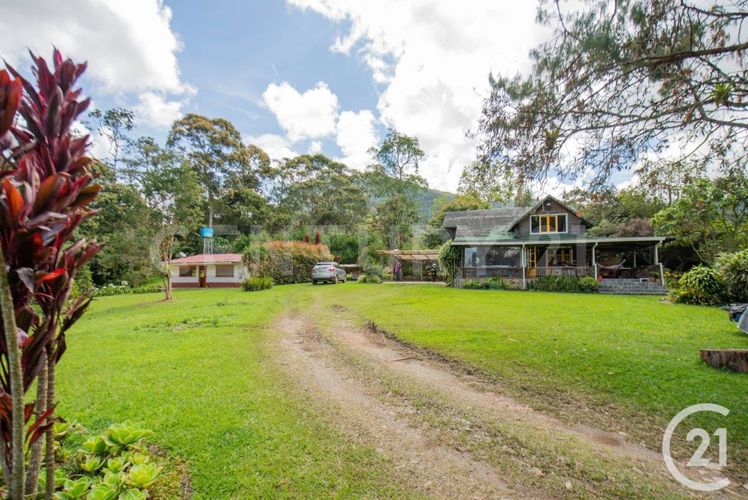 Finca en venta en Lomitas, La Ceja, 240 m² · foto 2 de 24