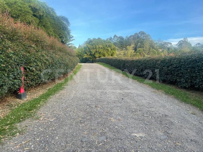 Finca en venta en Chipre, Rionegro, 426 m² · foto 24 de 24