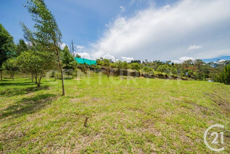 Lote en venta en El Tablazo, Rionegro, 2471 m² · foto 2 de 9