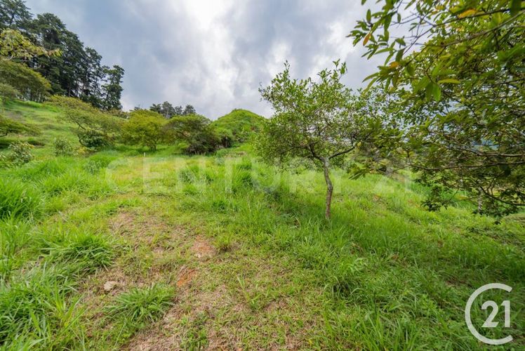 Lote en venta en Escobero, Envigado, 500 m² · foto 4 de 12
