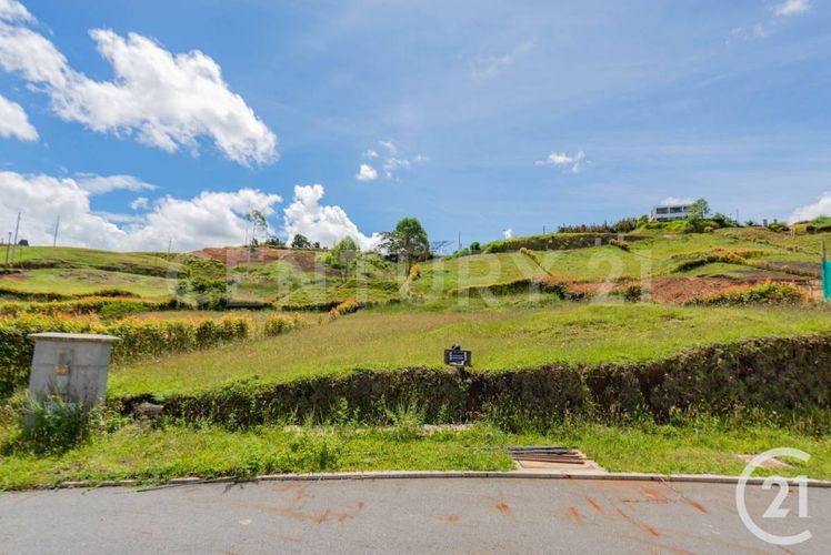 Lote en venta en El Porvenir, Rionegro, 790 m² · foto 6 de 18