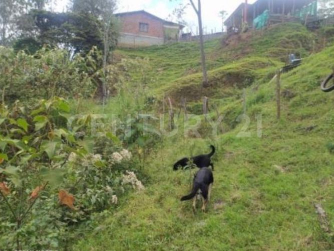 Lote en venta en Sector Belvedere, Copacabana · foto 14 de 19
