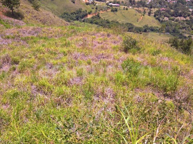 Lote en venta en Sector Belvedere, Copacabana · foto 16 de 19