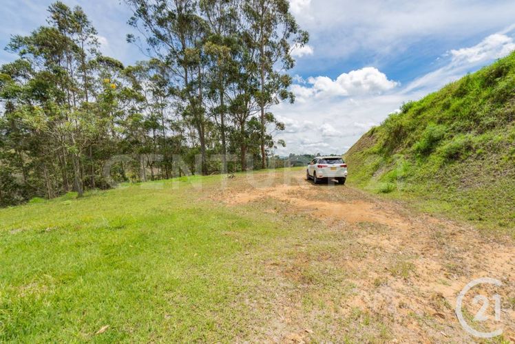 Lote en venta en Santa Ana, Rionegro, 4392 m² · foto 7 de 9