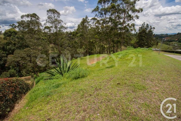 Lote en venta en Santa Ana, Rionegro, 4392 m² · foto 9 de 9
