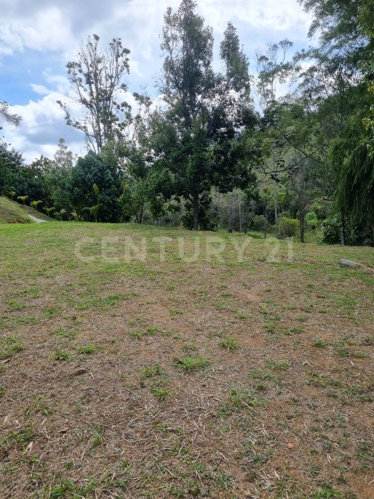 Land in Cuchillas de san jose for Sale - 2